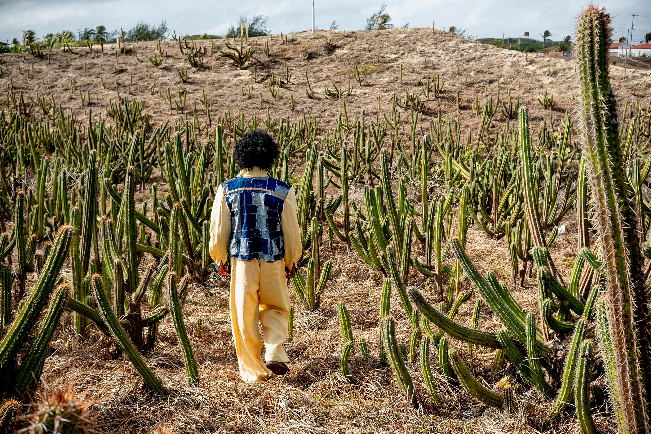 JAQUETA MASCULINA LION