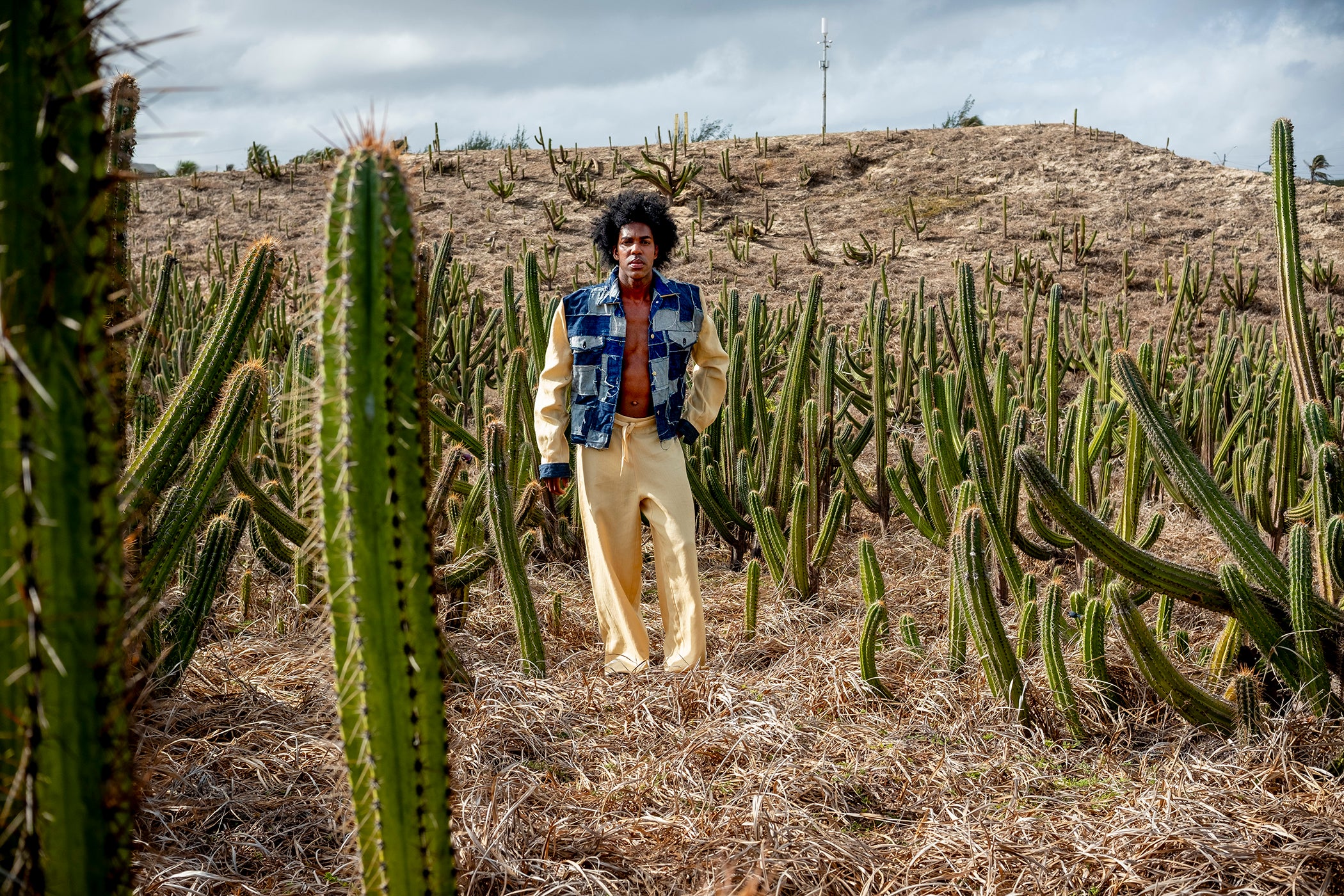 JAQUETA MASCULINA LION